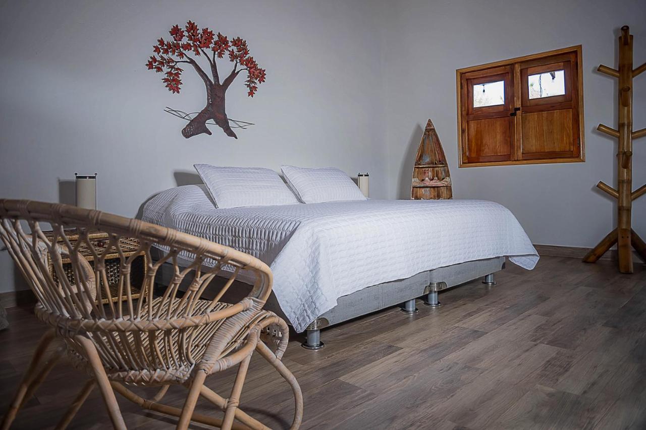 Eco Hotel Nativo Juan de Acosta エクステリア 写真