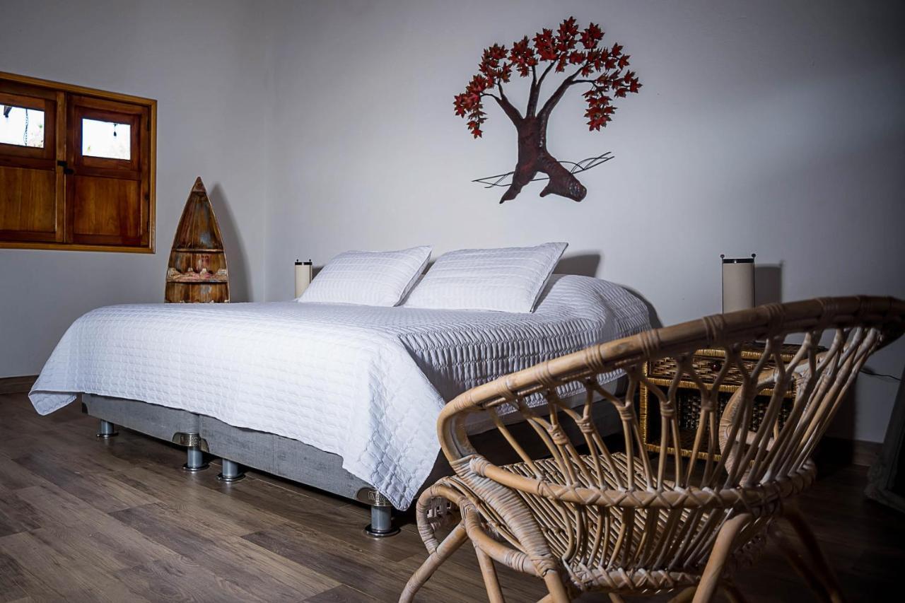 Eco Hotel Nativo Juan de Acosta エクステリア 写真