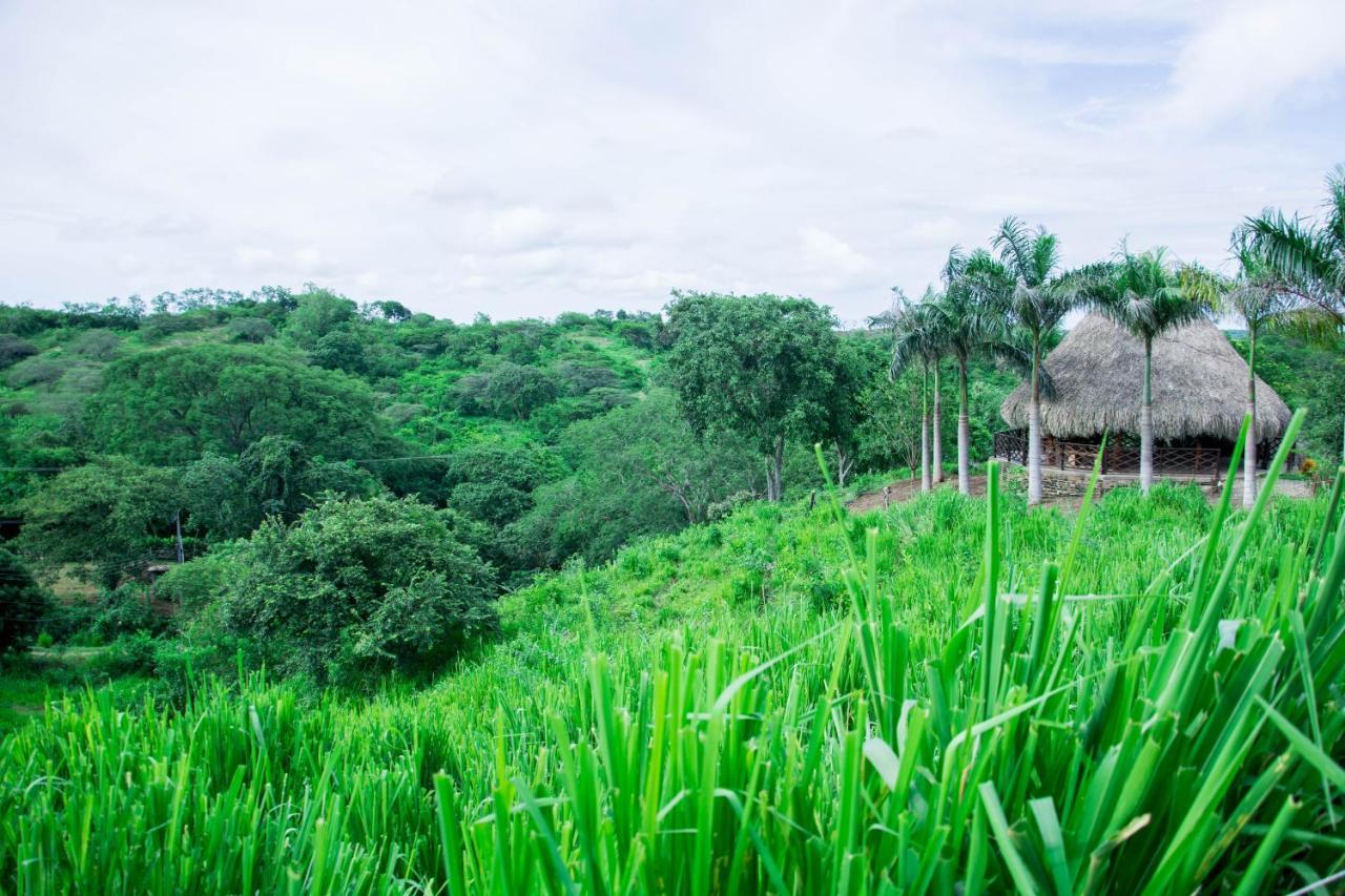Eco Hotel Nativo Juan de Acosta エクステリア 写真